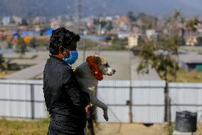 Kukur Tihar or Dog worship Day celebrate in Nepal